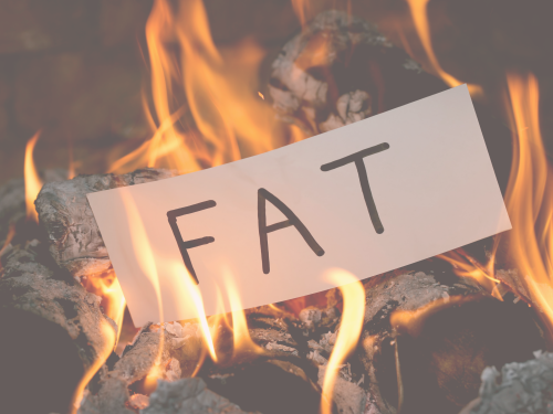 fat burning mode | thevwn.com | vegan weight loss